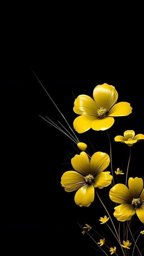 Mobile Wallpaper 6456